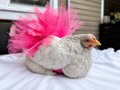 Bubblegum Ballet Tutu
