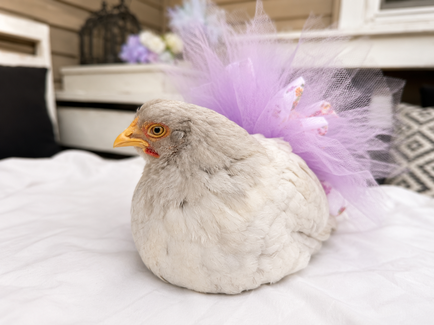 Lavender Moonflower Tutu