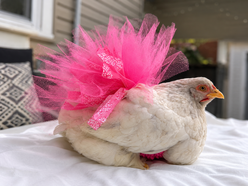 Bubblegum Ballet Tutu
