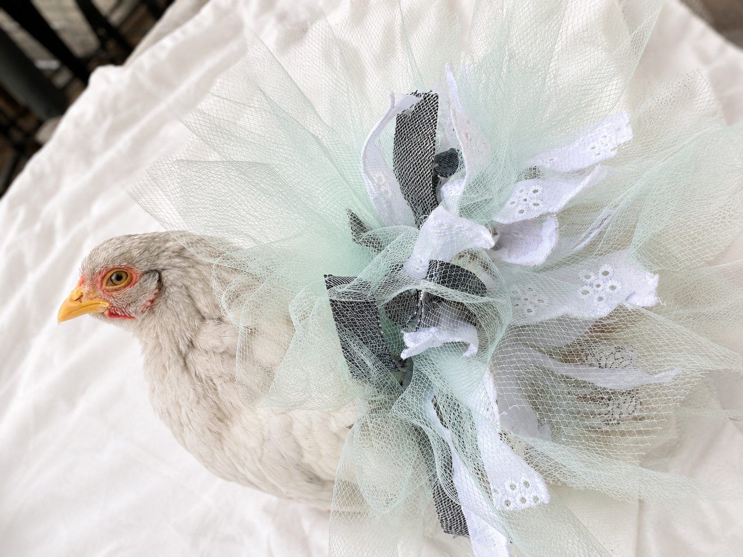 Mint Juliette Tutu