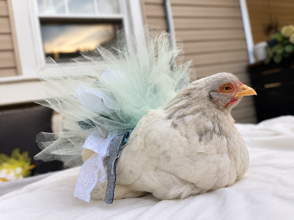 Mint Juliette Tutu